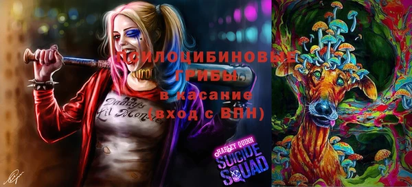 бошки Семикаракорск