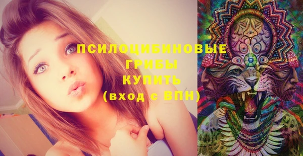 прущая мука Алексин