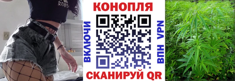 Бошки Шишки VHQ Жуков